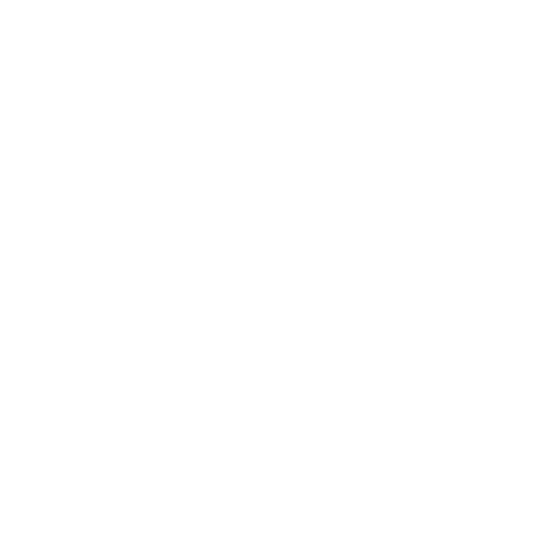 Western Boots Stroller Wagon - The Last Stag