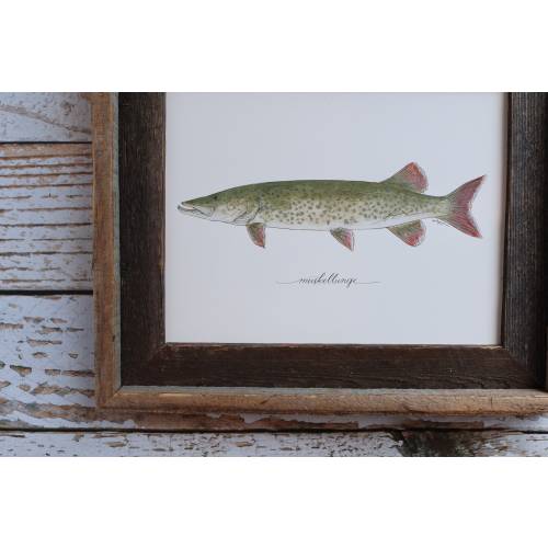 Muskellunge Art Print | Muskie Freshwater Fish Painting