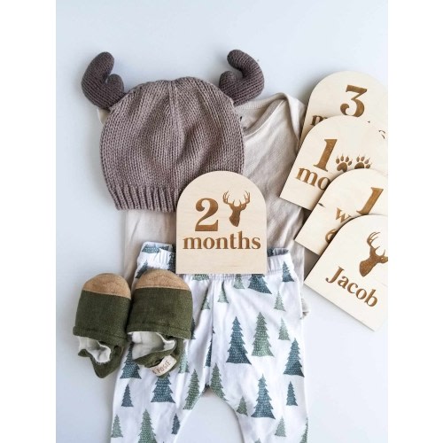 Deer Antler Baby Milestone Discs: Woodland Photo Props