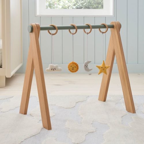 Sky Sensory Baby Gym Accessories