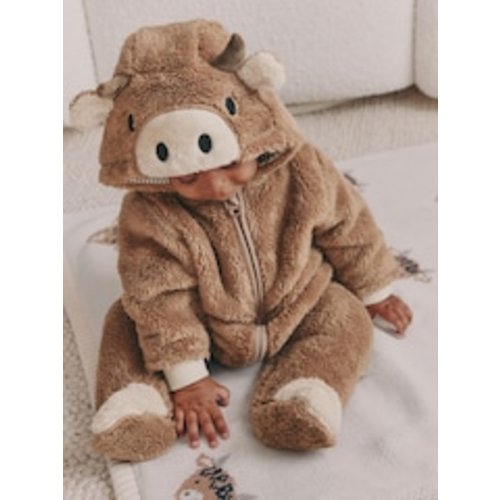 Buy Brown Hamish Hooded Baby Fleece Pramsuit (0-18mths) from Next USA