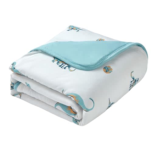 BubblePanda Rayon Made From Bamboo Baby Blanket for Boys Girls 30 x 40 Inch | Toddler Blankets for Boys and Girls，Soft Neutral Baby Blanket, Quilt Comforter Newborn Nursery