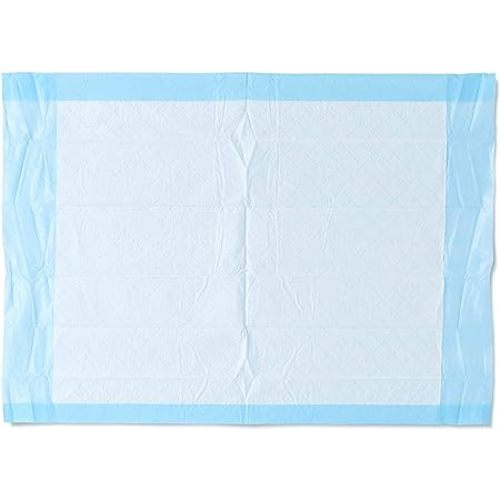 Medline Disposable Underpads 17 x 24 inch (100 Count), Baby Changing Pad for Changing Table, Small Puppy Pad, Pee Pad for Dogs, Ultra Lightweight Absorbency,Blue - 1 Count (Pack of 100)