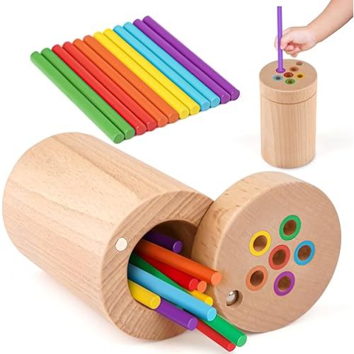 Vanplay Montessori Toys for 2 Year Old - Wooden Learning Color Sorting Toys for Toddlers, Fine Motor Developmental Infants Sensory Matching Games 18 Month Old Baby Boys Girls Gifts