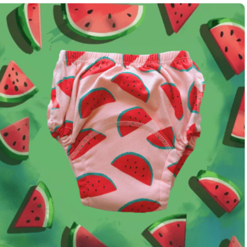 Potty Training Underwear