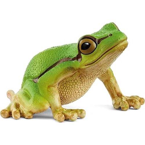 Schleich Wild Life - European Tree Frog Toy Figurine. Realistic Hand-Painted Animal Toys for Boys and Girls. Durable Educational Wolf Figure for Imaginative Play. Kids and Toddlers Ages 3+ 14882