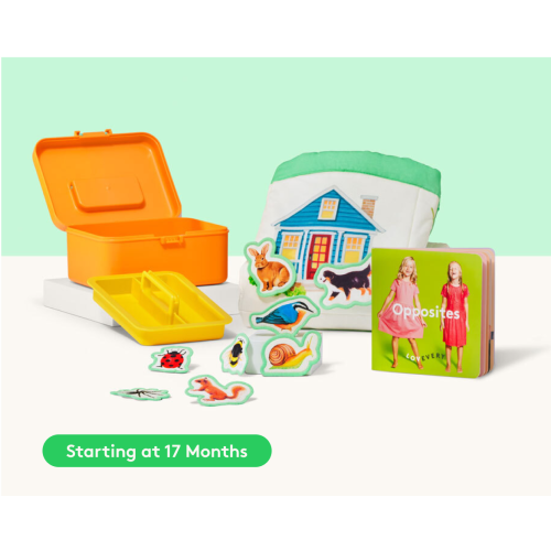 Toddler Sort & Match Mini Kit | Sorting Toys & Matching Games for 17+ Months Old | Lovevery