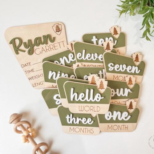 National Park Monthly Milestone Discs For Baby Photos + Matching Birth Stat Sign | Monthly Milestone Marker | Rustic Monthly Milestones