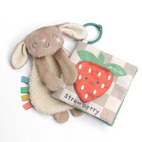 Itzy Learn & Snuggle Gift Set™ - Bunny