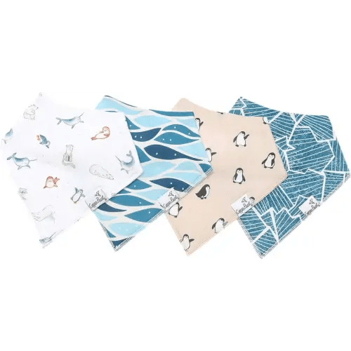 Arctic Wonder Bandana Bib Set