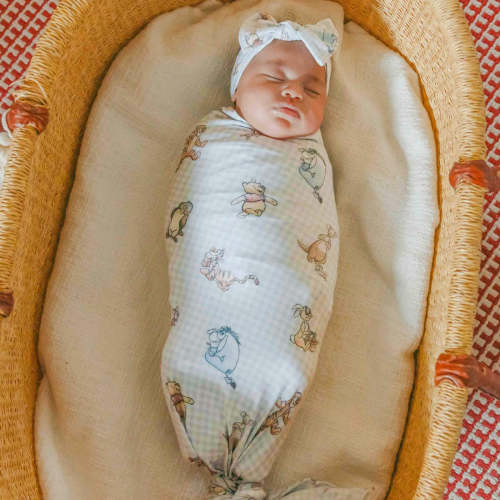 Knit Swaddle Blanket - Winnie the Pooh and Friends