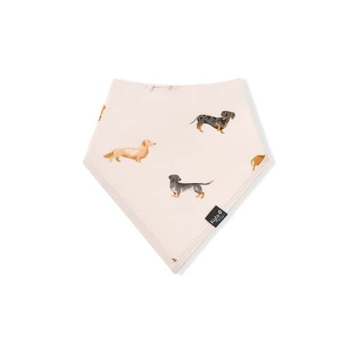 Bib in Dachshund