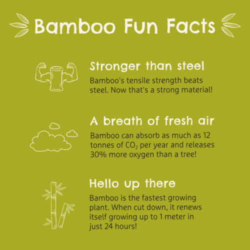 Bambou™ Divided Plate | Munchkin