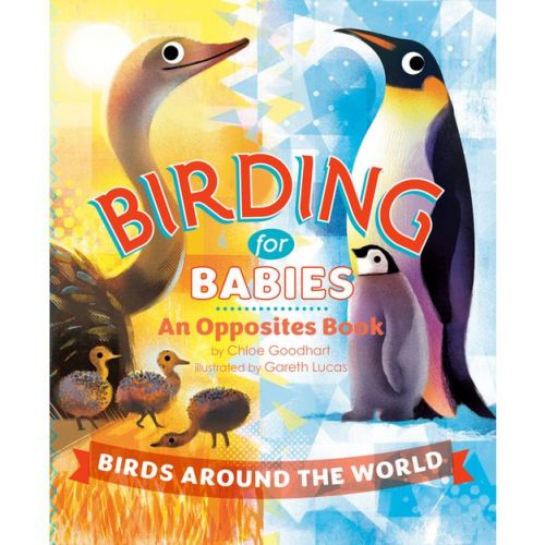 Birding for Babies: Birds Around the World - by Chloe Goodhart (Board Book)