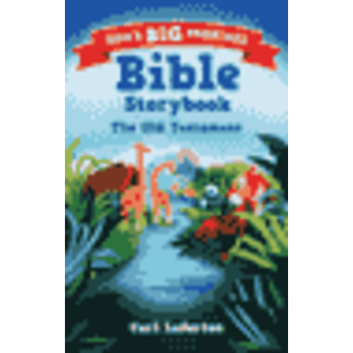 God's Big Promises Bible Storybook
