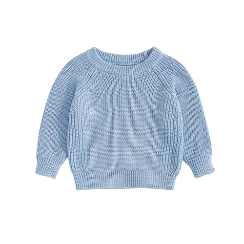 Thorn Tree Baby Knit Sweater Crewneck Long Sleeve Pullover Sweatshirt Infant Girl Boy Fall Winter Clothes