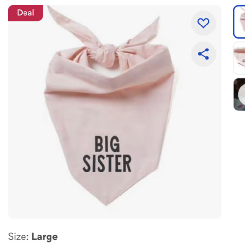 My Big Sister Dog Bandana, Large - Chewy.com
