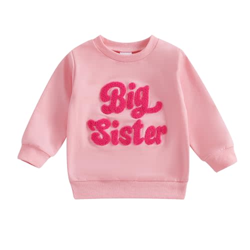 Big Sister Big Brother Matching Outfit Toddler Boy Girl Embroidery Sweatshirt Tops Kids Pullovers Shirt Fall Clothes
