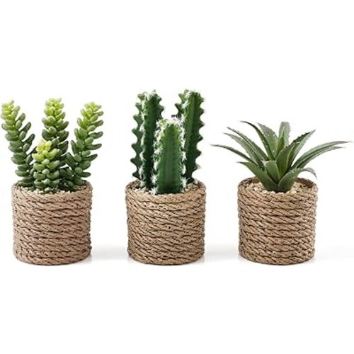 3-Pack Artificial Succulent Plants in Vintage Plastic Pots - Fake Waterproof Succulents Decor for Home, Office, Desk, Shelf - Low Maintenance Indoor Greenery for Bathroom, Living Room, Table Decor