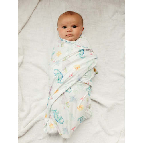 We Are The Dinosaurs Swaddle (47"x47")