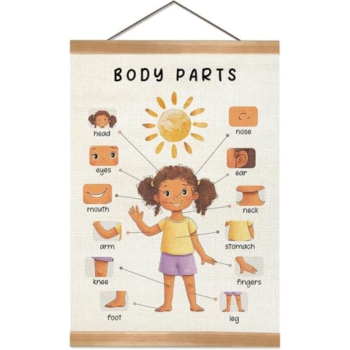 Body Parts Wall Art Poster, Body Educational Learning Posters,Body Parts Learning Wall Chart for Kids Room Decor, Kindergarten Teaching Supplies, Classroom Poster for Bulletin Board Decor 12x16Inch(Girls)
