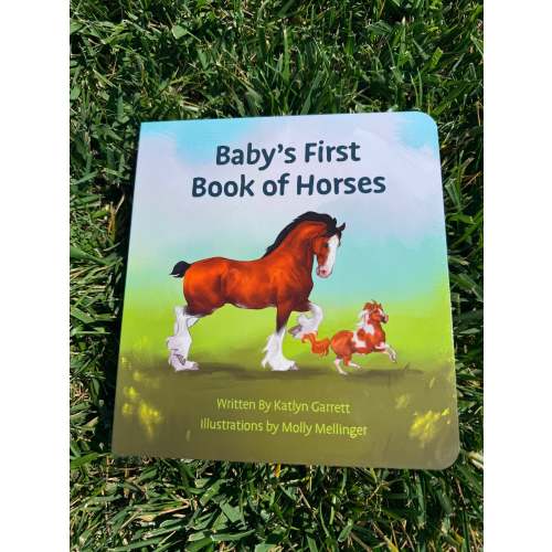 Baby's First Book of Horses