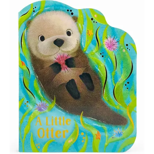 A Little Otter