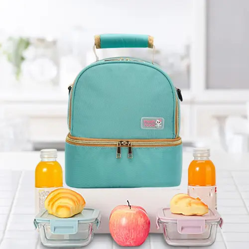Floleo Breastmilk Cooler Bag, Breast Pump Bag With Cooler, Double Layer Breast Milk Baby Bottle Cooler Bag, For Travel, Nursing Mom Daycare, Work, Picnic