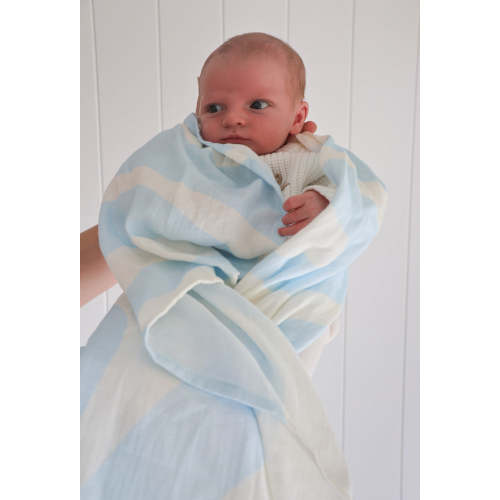 Organic Blueberry Sorbet Ripples Swaddle