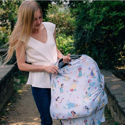 DISNEY PRINCESS BRAVE & TRUE COVER