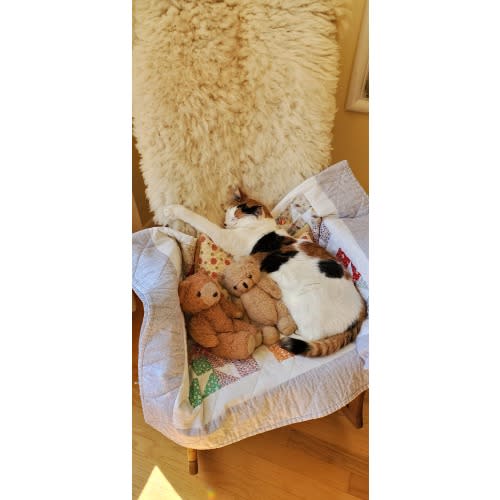 Doula Fund