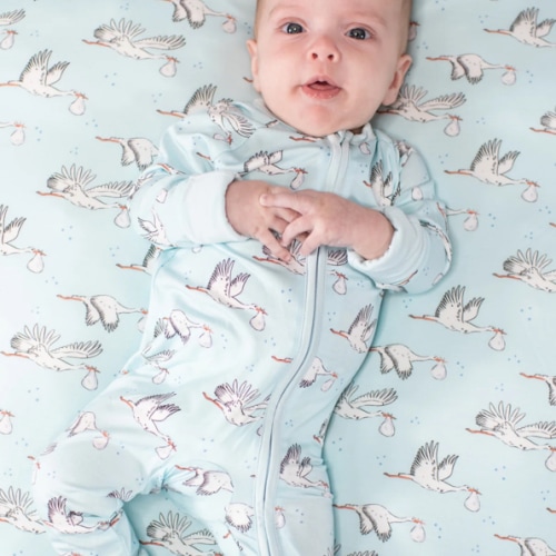Convertible Zip Pajamas - Stork (Blue) – Goosies