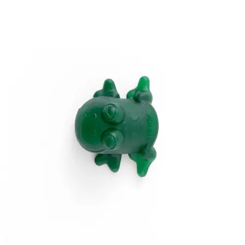 Fred the Frog Bath Toy