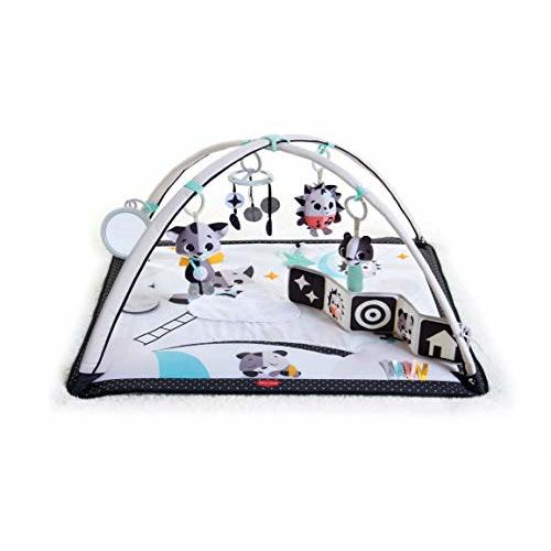 Tiny Love Baby Tummy Time Play Mat, Gymini Deluxe Baby Play Mats for Floor, Magical Tales Black & White Activity Gym