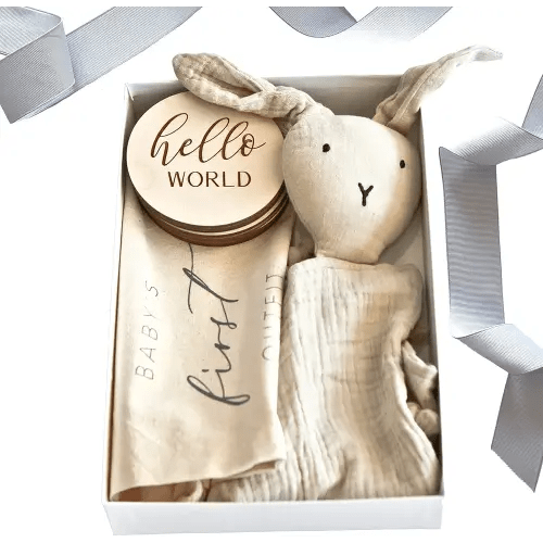 Baby Gift Box - Handcrafted Welcome Baby Gift Set - Choose 5 or 3-Pack Baby Shower Including Milestones, Closet Dividers, & More. +Additional Item: Birth Stat Disc. (Months Set 3-Pack)
