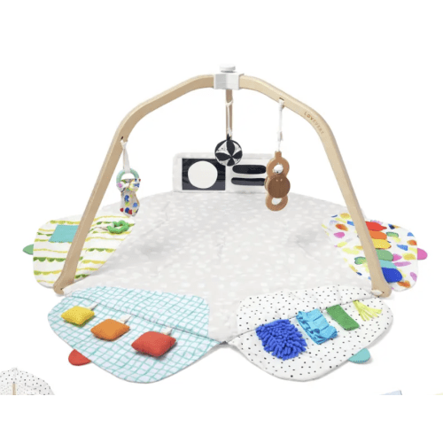 The Play Gym