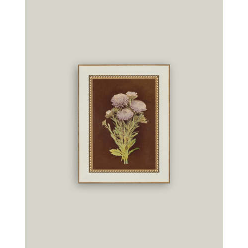 Lilac Dahlia on Brown