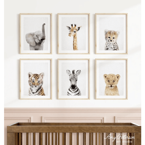 Baby Safari Animal Prints: Nursery Wall Art, Set of 6 (Unframed) 
Size: Photo Prints - 11 x 14
Background Style: Texture