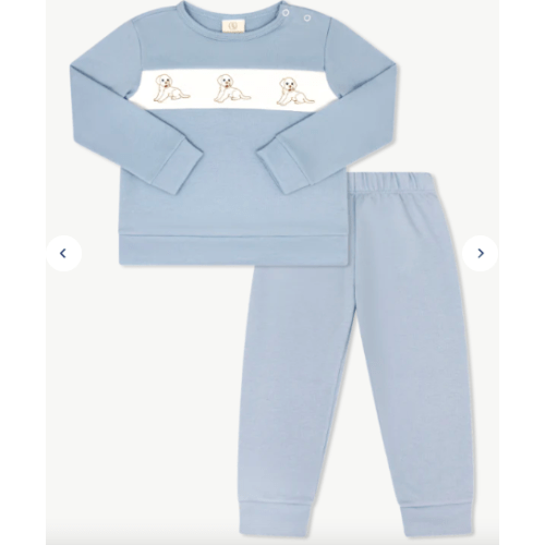 Bayou Play Set - Bakersfield Blue, Puppy 9m