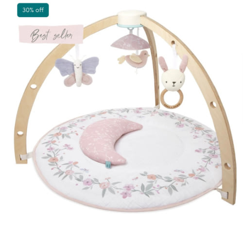 Baby Gym | Premium Baby Activity Gym | aden + anais