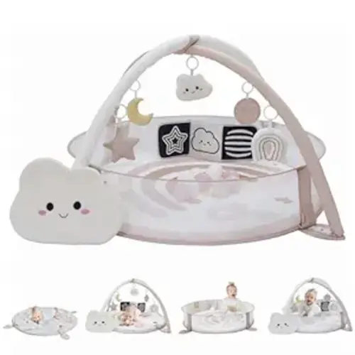 Aila+Aiden 6-in-1 XL Play Mat & Play Gym, Baby Gym, Baby Activity Gym, Sensory Exploration and Motor Skill Development Toys (Blush)