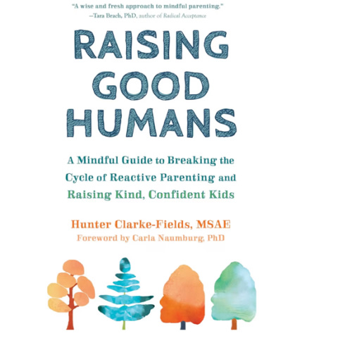 Raising Good Humans: A Mindful Guide to Breaking the Cycle of Reactive Parenting and Raising Kind, Confident Kids