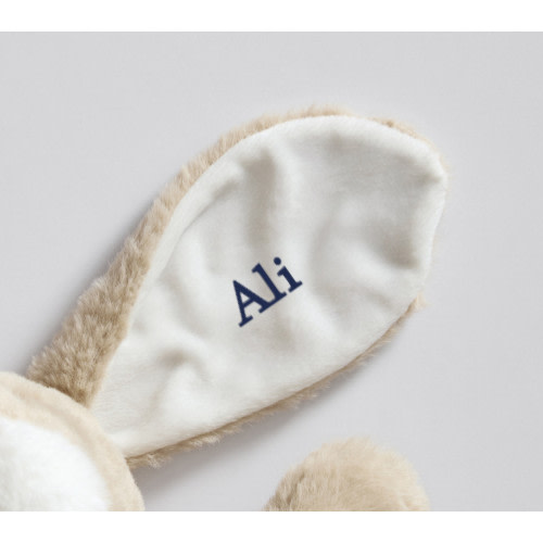 Long-Eared Bunny Plush