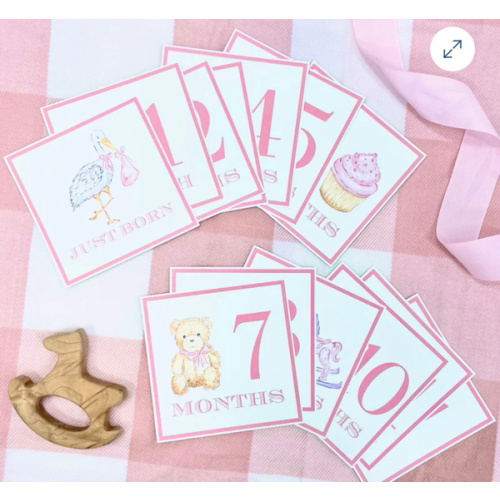 Sir Proper's Month Markers - Palm Beach Pink
