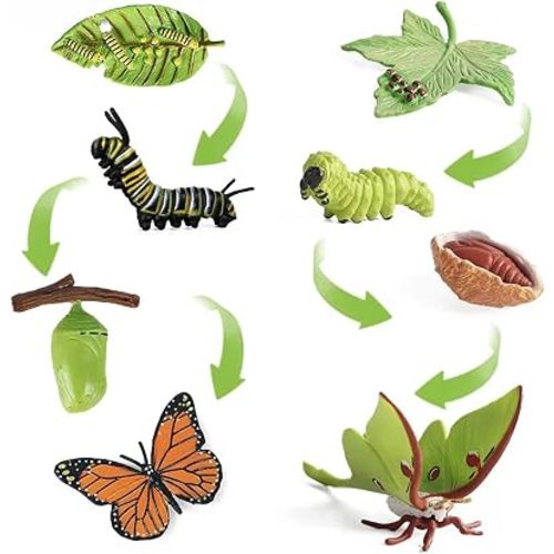 8PCS Life Cycle Figurines of Monarch Butterfly and Actias Ningpoana, Realistic Education Insects Life Cycle Toys, Caterpillar to Butterfly Kit Growth Life Stages Figures for Learning and Teaching Aids