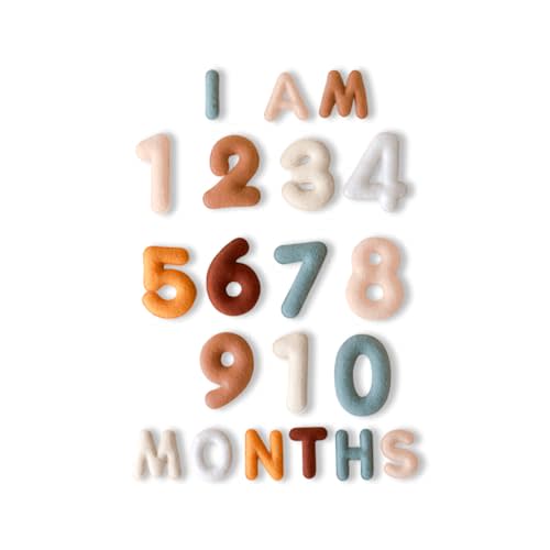 Lucy Darling Felt Baby Monthly Milestone Decor