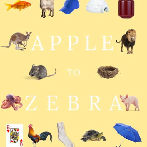 Apple to Zebra - A Primer Designed to Align with Phonics Instruction