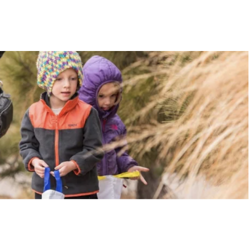 Membership | Denver Botanic Gardens