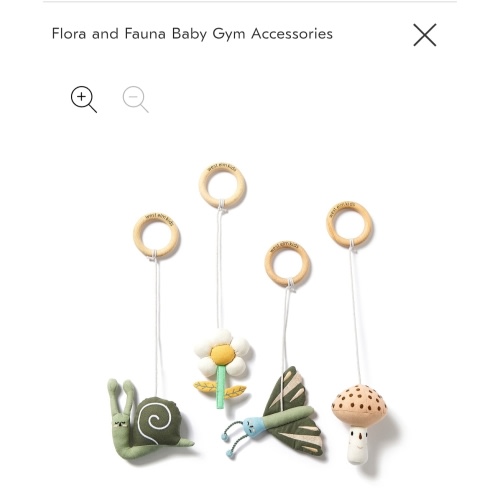 Pine Baby Gym & Baby Gym Sensory Accessories | West Elm