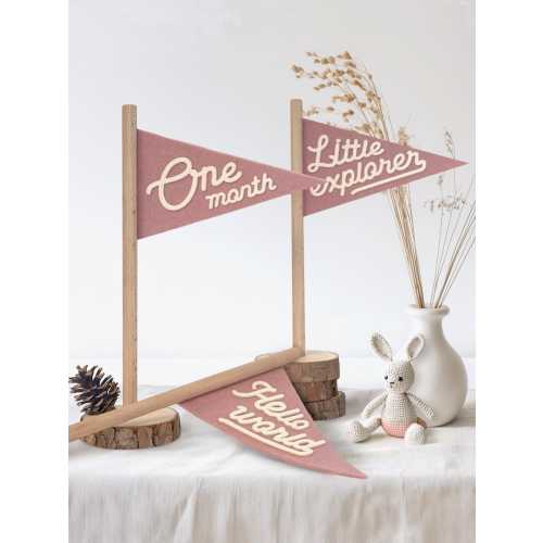 Baby Milestone Pennant | Monthly Signs for Photos | Natural Wood Felt Flag, Newborn Photo Prop | Boho Nursery Decor (Dusty Pink)